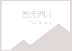 宁夏字迹咨询有限公司